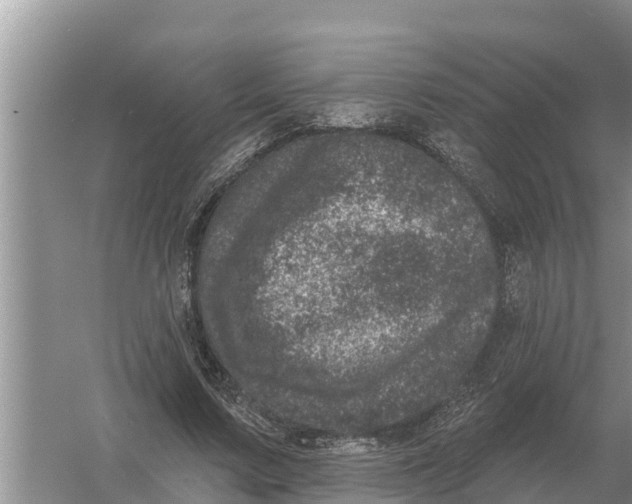 X0000055970683200509162159