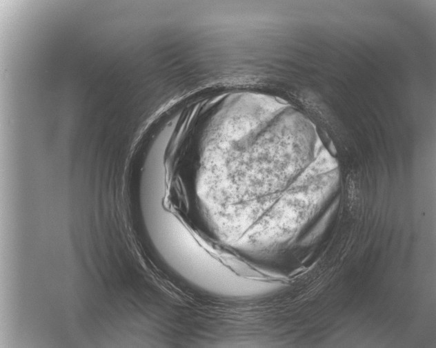 X0000055970684200509162159