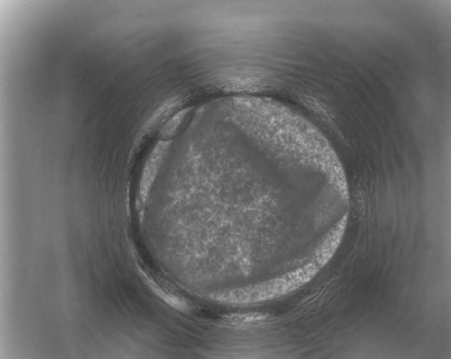 X0000055970686200509162159