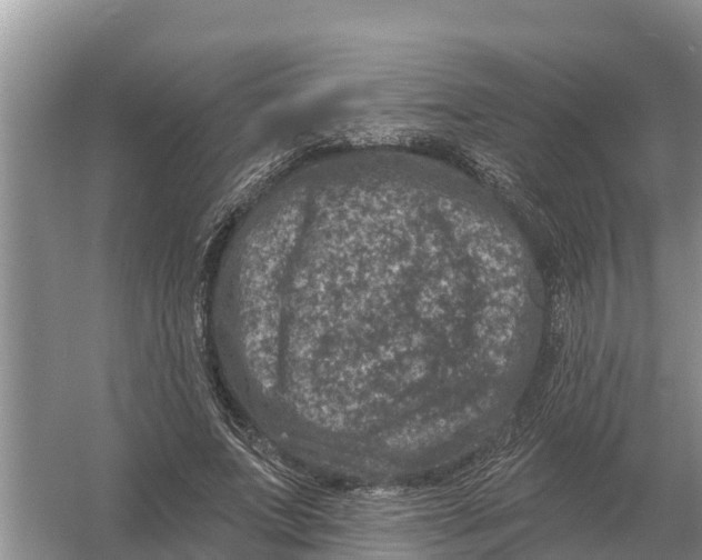 X0000055970687200509162159