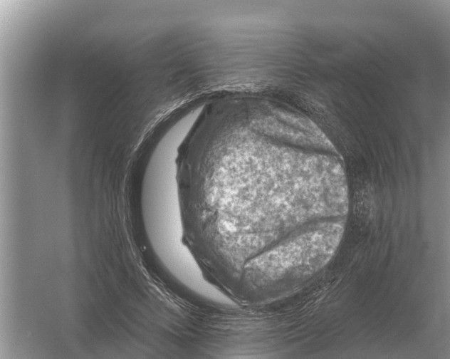 X0000055970688200509162159