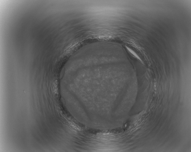 X0000055970689200509162159