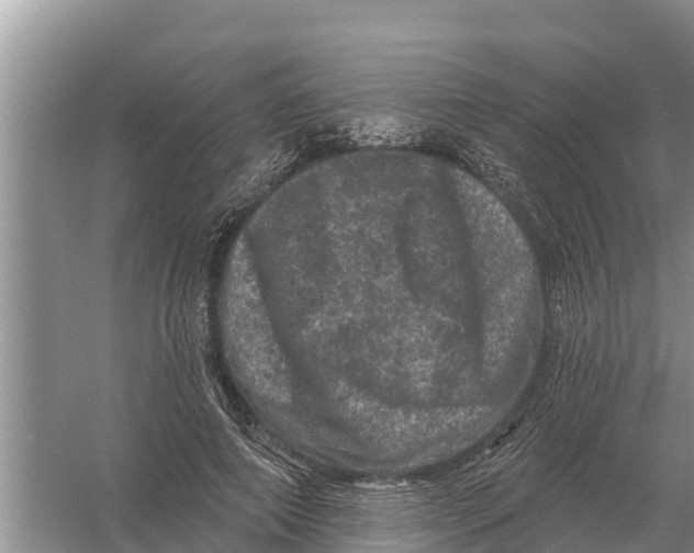 X0000055970690200509162159