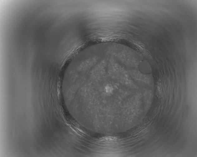 X0000055970691200509162159