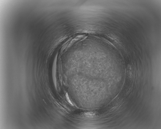 X0000055970692200509162159