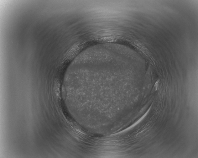 X0000055970693200509162159