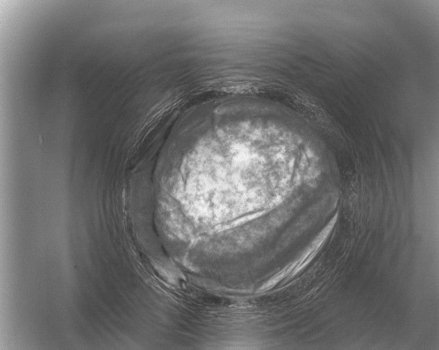 X0000055970696200509162159