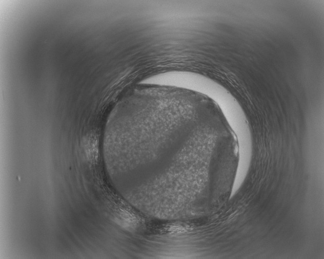 X0000055970697200509162159