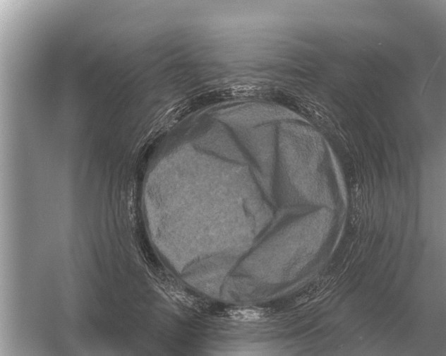 X0000055970698200509162159