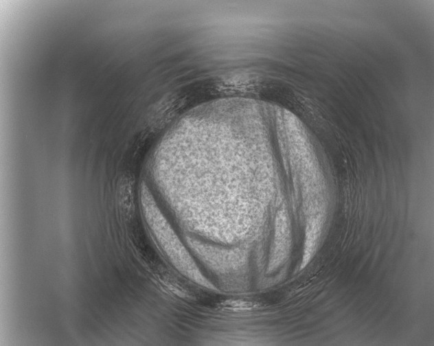 X0000055970699200509162159