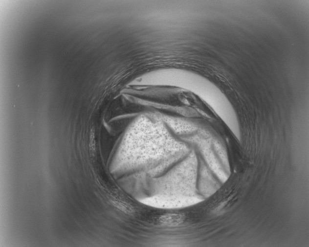 X0000055970700200509162159