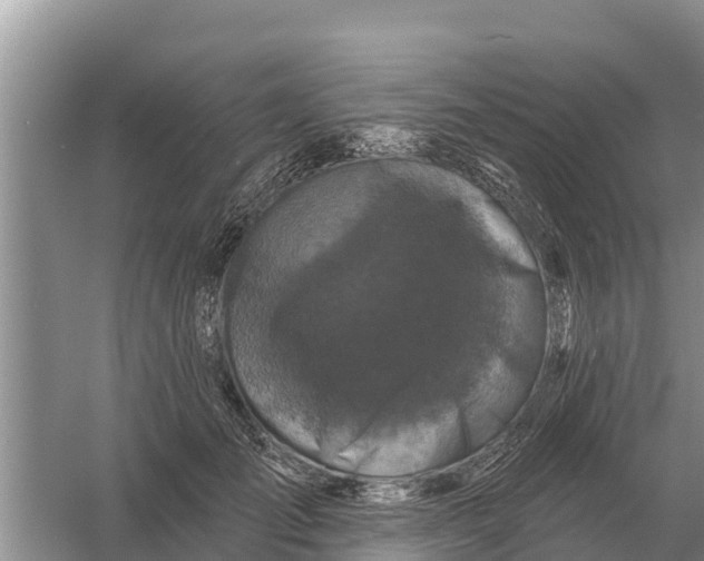 X0000055970701200509162159