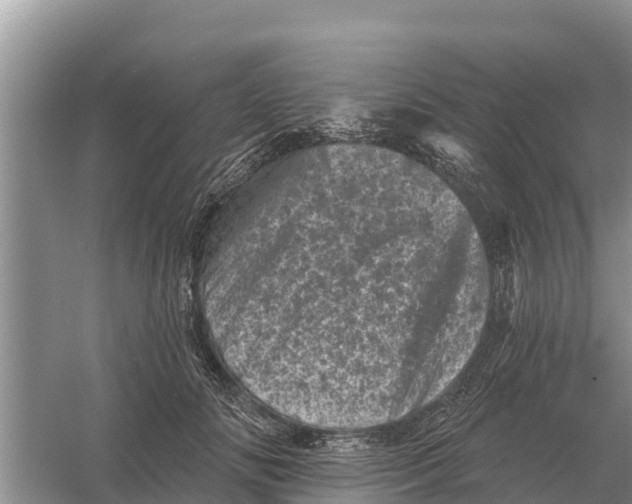 X0000055970702200509162159