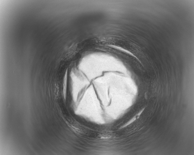 X0000055970703200509162159