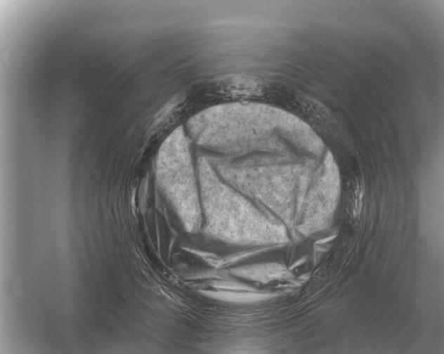 X0000055970704200509162158