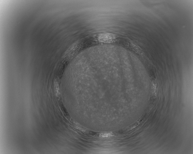 X0000055970705200509162158