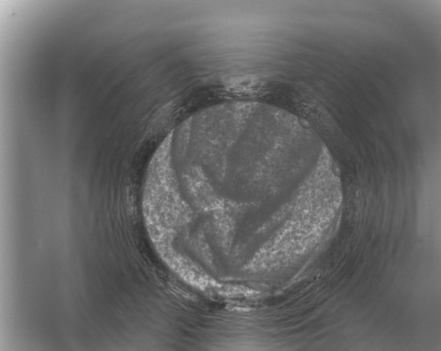 X0000055970706200509162158