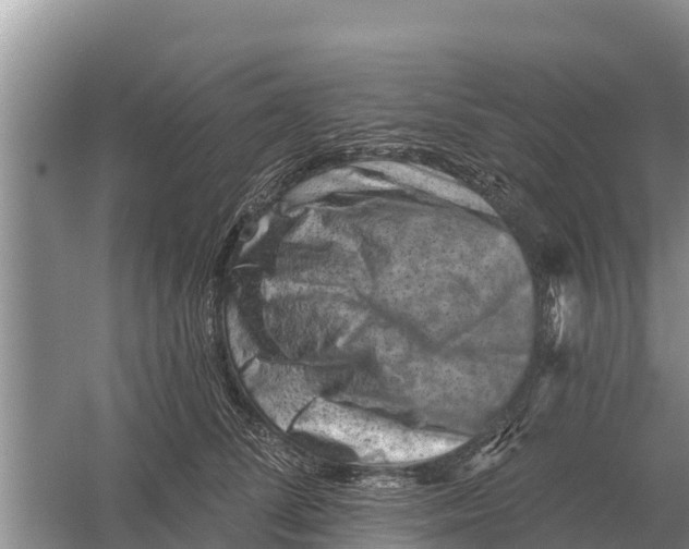 X0000055970708200509162158