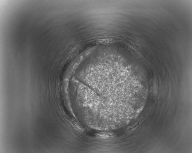 X0000055970712200509162158