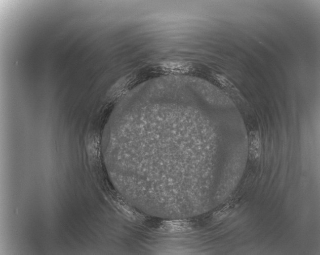 X0000055970713200509162158