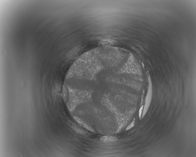 X0000055970714200509162158