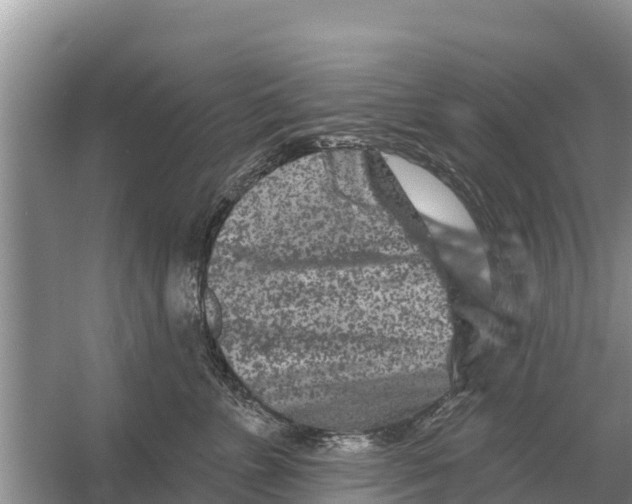 X0000055970715200509162158