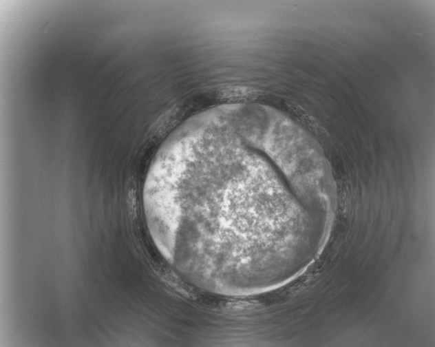 X0000055970716200509162158