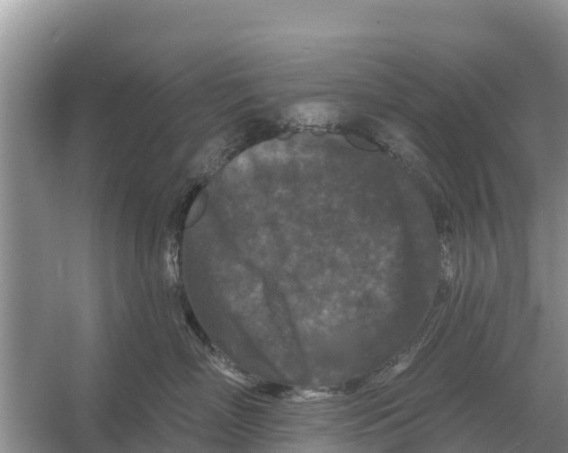 X0000055970718200509162158