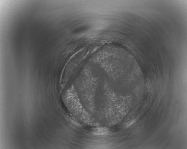 X0000055970719200509162158