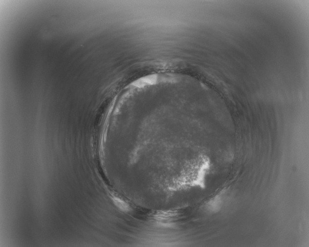 X0000055970720200509162158