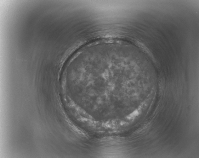 X0000055970721200509162157