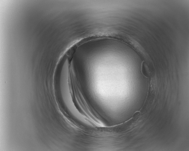 X0000055970722200509162157