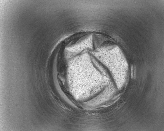 X0000055970723200509162157