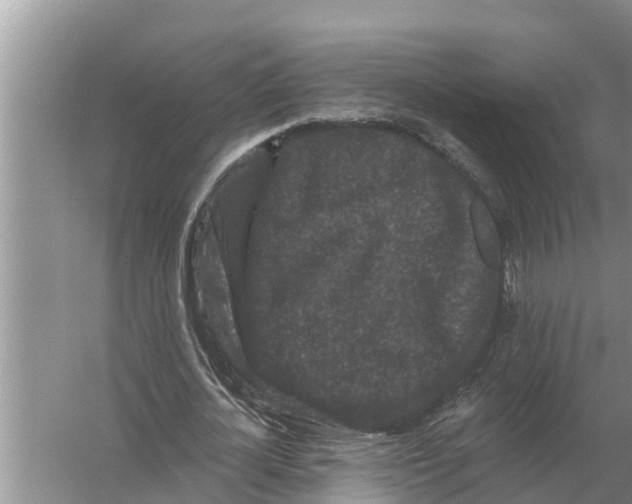 X0000055970724200509162157