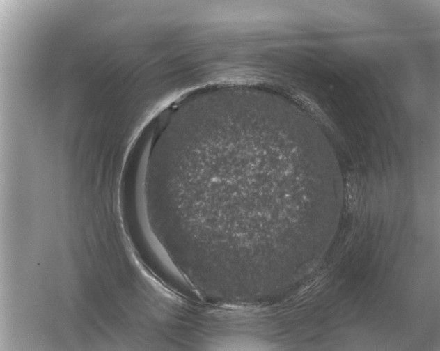 X0000055970726200509162157