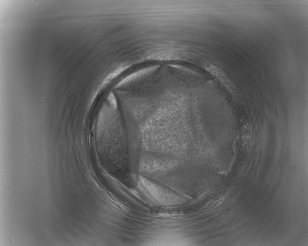 X0000055970727200509162158