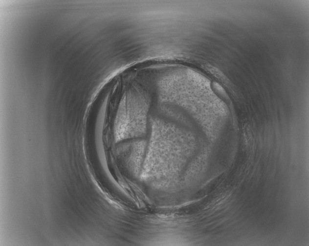 X0000055970728200509162158