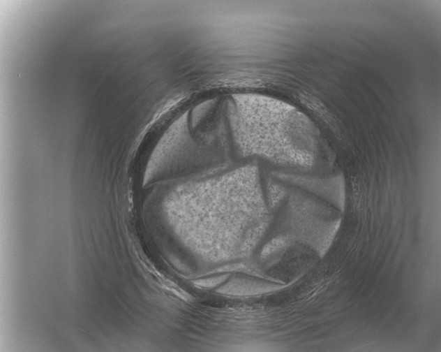 X0000055970731200509162158