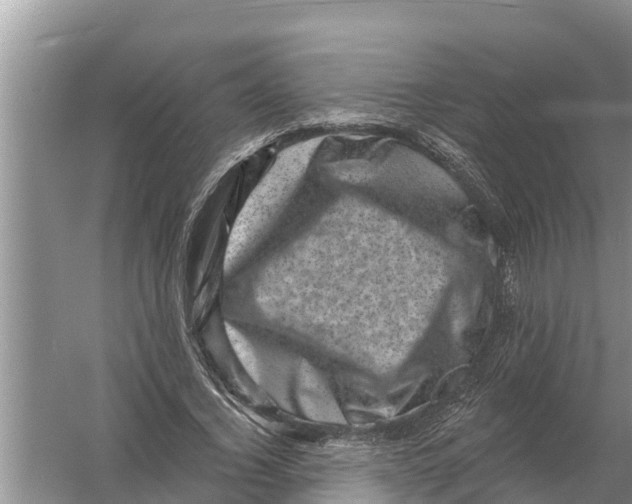 X0000055970732200509162158