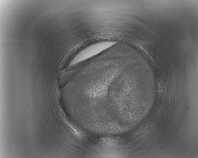 X0000055970733200509162158