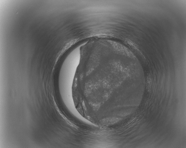 X0000055970734200509162158