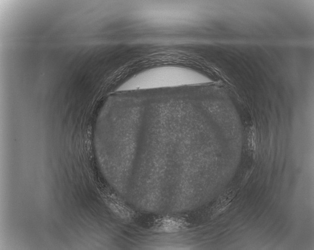 X0000055970737200509162158