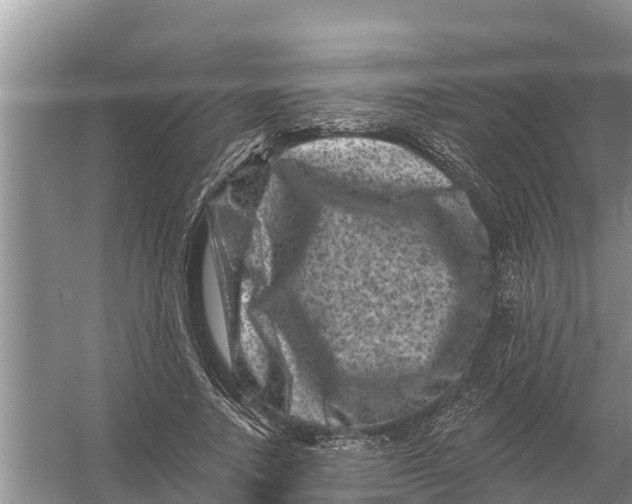 X0000055970738200509162158