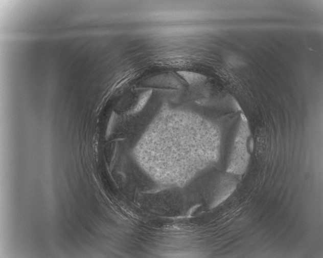 X0000055970739200509162158