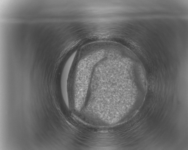 X0000055970740200509162158