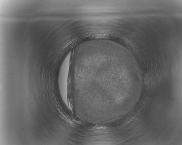 X0000055970741200509162158