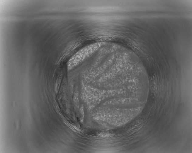 X0000055970742200509162158