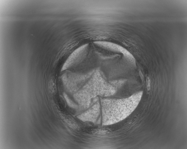 X0000055970743200509162158