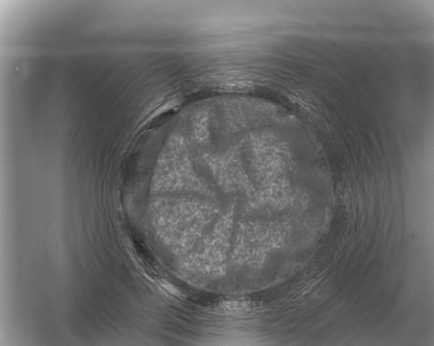 X0000055970744200509162158