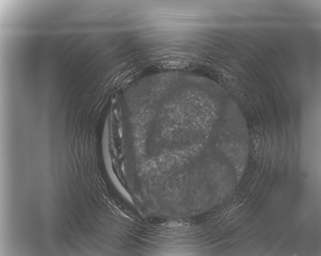 X0000055970745200509162158